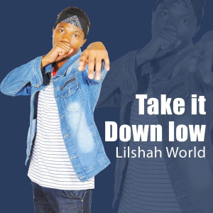 收聽Lilshah World的Take It Down Low歌詞歌曲
