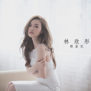 收聽林欣彤 Mag Lam的懸崖花歌詞歌曲
