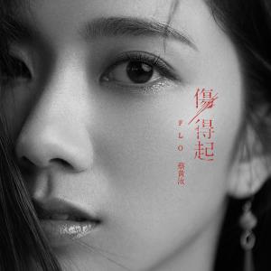 ดาวน์โหลดและฟังเพลง 傷得起 พร้อมเนื้อเพลงจาก 蔡黄汝