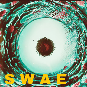 Listen to Rosebud song with lyrics from SWAE