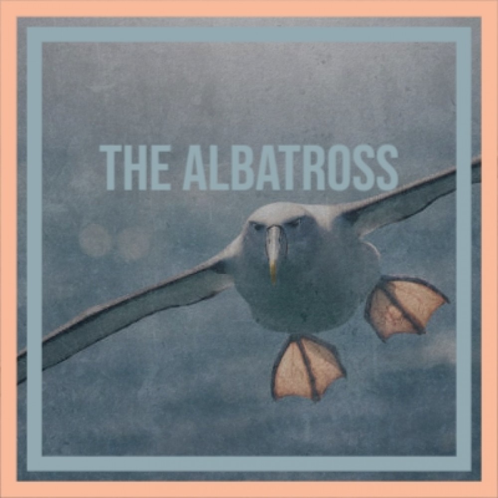 The Albatross