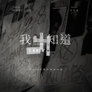 收聽林欣甫的我知道 (feat. 林依霖)歌詞歌曲