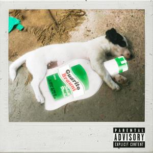 Listen to Guarito (Explicit) song with lyrics from Brauni