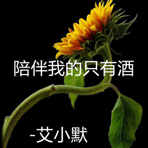 ดาวน์โหลดและฟังเพลง 陪伴我的只有酒 พร้อมเนื้อเพลงจาก 艾小默