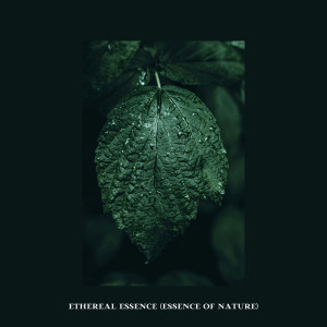 Pedro Caceres的專輯Ethereal Essence (Essence of Nature)