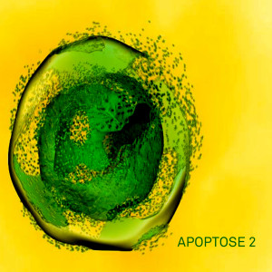 收听Lark Wool的Apoptose 2歌词歌曲