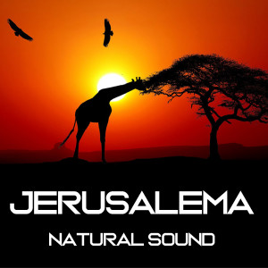 收听Natural Sounds的Jerusalema (Relax Version)歌词歌曲