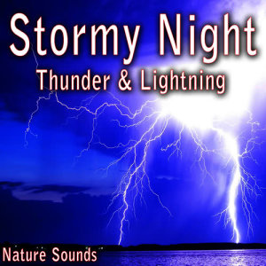 ดาวน์โหลดและฟังเพลง Thunder Rain and Heavy Wind Storm พร้อมเนื้อเพลงจาก Nature Soundscape