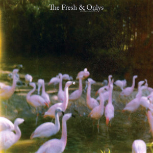 收聽The Fresh的You're Known to Wander歌詞歌曲