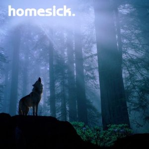 อัลบัม Homesick ศิลปิน Black Hole Sun