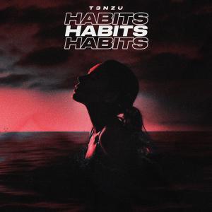 T3NZU的专辑Habits (Stay High)