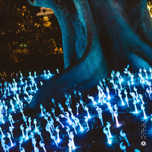 Worldtraveller的专辑Night Glow