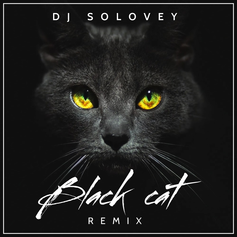 Black cat (DJ Solovey Remix)