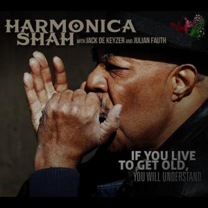 收聽Harmonica Shah的I Just Don't Want You No More歌詞歌曲