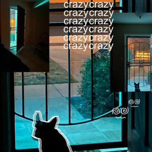 ayotrevor的專輯crazy (feat. faun & riot) (Explicit)