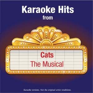 ดาวน์โหลดและฟังเพลง Skimbleshanks: The Railway Cat (In The Style Of Cats) พร้อมเนื้อเพลงจาก Karaoke - Ameritz