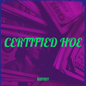 Listen to Roar (Explicit) song with lyrics from Bodybuy