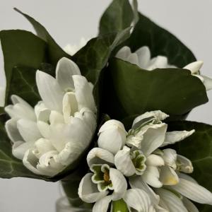 收聽Malex的flowers歌詞歌曲