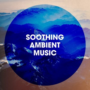 Ambient Nature Sounds的專輯Soothing Ambient Music