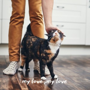 收聽Joni James的My Love, My Love歌詞歌曲