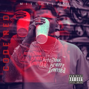 ดาวน์โหลดและฟังเพลง Cherry Gelato (Explicit) พร้อมเนื้อเพลงจาก Mitchelani