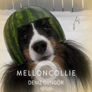 Listen to Melloncollie song with lyrics from Deniz Güngör
