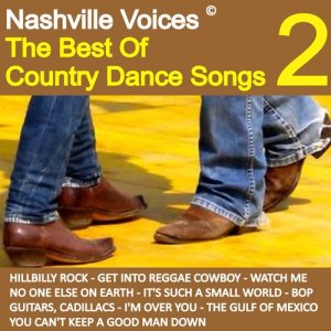 The Best Country Dance Songs, Vol. 2