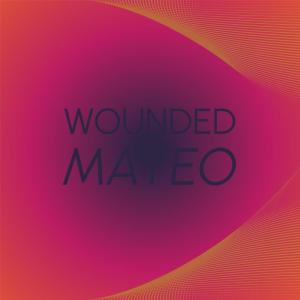 Various Artists的專輯Wounded Mateo