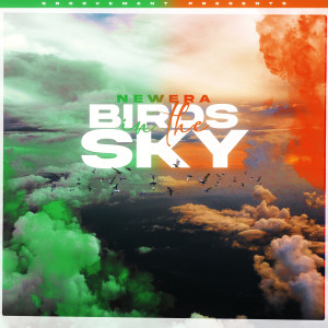 อัลบัม Birds In The Sky (Irish Remix Pack) ศิลปิน Newera