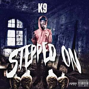 K9的專輯Stepped On (Explicit)