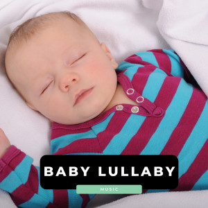 收聽Lullaby Babies的Sweet Dreams歌詞歌曲