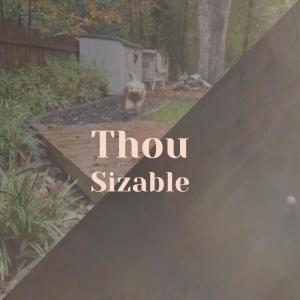 Listen to Relinquishment Thy song with lyrics from Virge Ugam