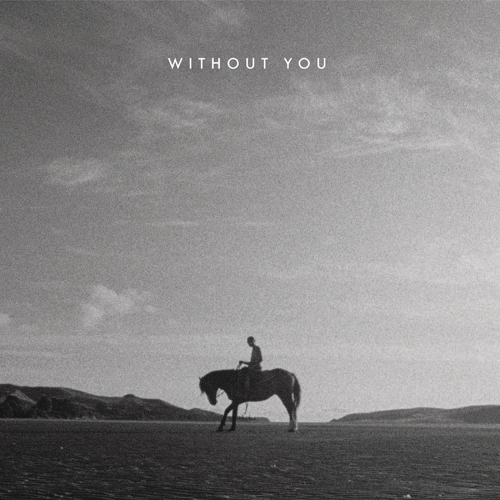 Without You