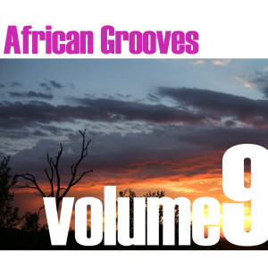 Various Artists的專輯African Grooves Vol.9
