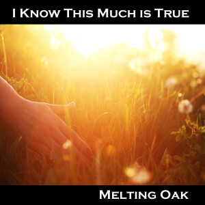Listen to I Know This Much is True song with lyrics from Melting Oak