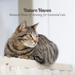Nature Haven: Binaural Waves of Serenity for Contented Cats