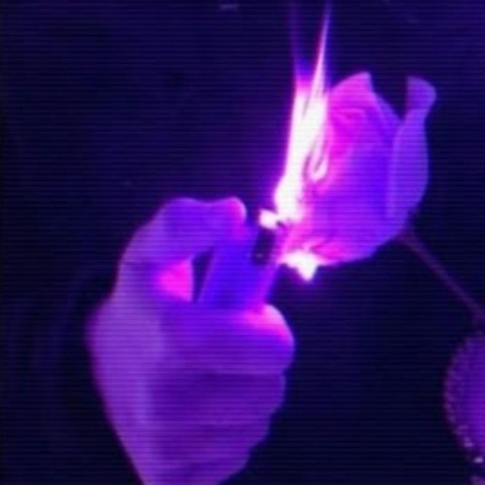 Suiciide (Beatrice Remix|Explicit)