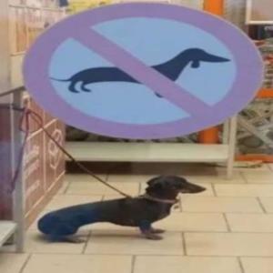 收聽NKN的synnip2ev (feat. NKN orjandus, NKN susan & NKN kro$$u pri$ke) (Explicit)歌詞歌曲