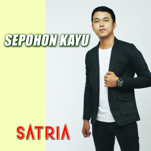 Dengarkan lagu Sepohon Kayu nyanyian Satria dengan lirik