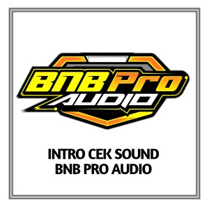 Listen to Intro Cek Sound BNB Pro Audio song with lyrics from Bass Nation Blitar