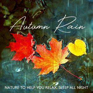Album Autumn Rain (Nature to Help You Relax, Sleep All Night) from ASMR Zone