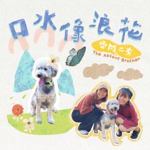 收听雷同二友的口水像浪花歌词歌曲