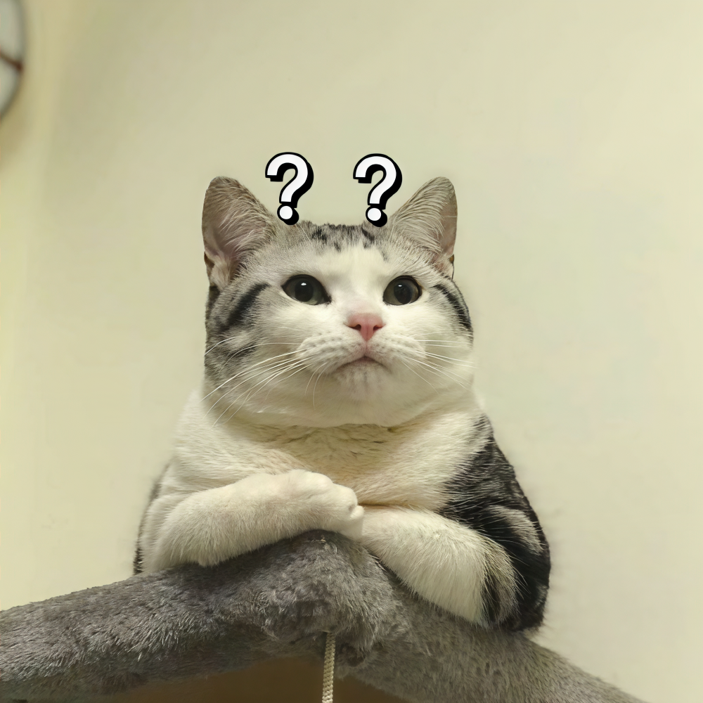 无赖_电音吃鸡