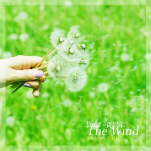 Album Wake up to the wind oleh Sky Cloud