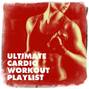 Dubstep Workout Music的专辑Ultimate Cardio Workout Playlist