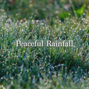 ดาวน์โหลดและฟังเพลง Work, Focus & Concentration Background พร้อมเนื้อเพลงจาก Rain Sounds