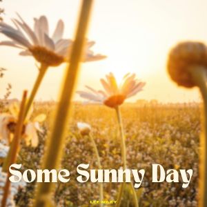 Lee Wiley的專輯Some Sunny Day