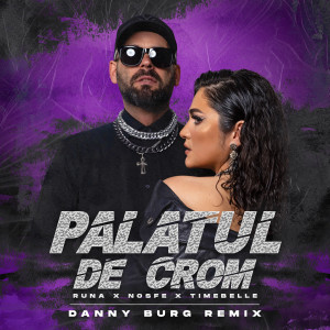 Album Palatul De Crom (Danny Burg Remix) oleh Runa