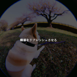 职场をリフレッシュさせる