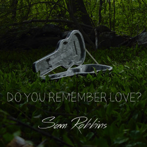 收聽Sam Robbins的Do You Remember Love?歌詞歌曲
